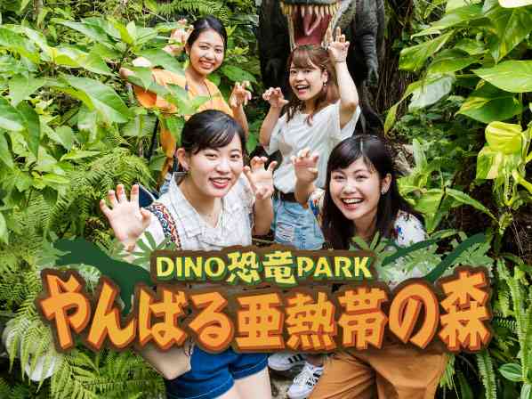 DINO 恐竜 PARK　やんばる亜熱帯の森 | 沖縄のお土産 - 元祖 紅いもタルト - 御菓子御殿 【 公式 】