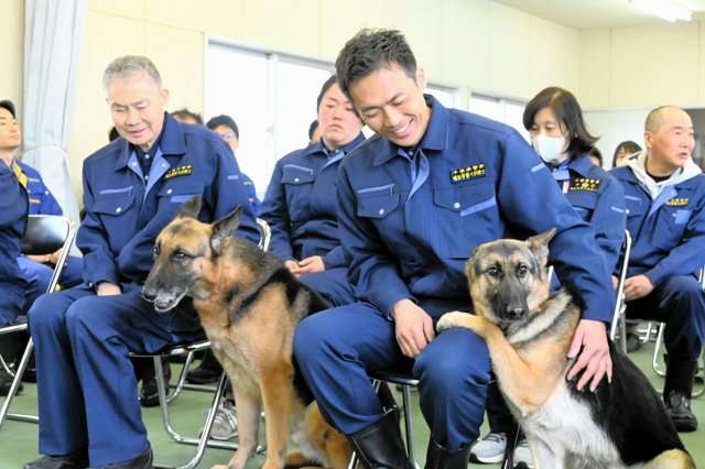 警察犬デビューするシェパード、ちょっぴり不安？しがみつく様子に「緊張してる」「頑張って」の声