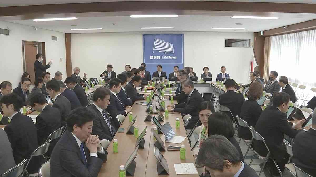 「物価高対策にならない」 自民党会合で消費税減税に「慎重論」相次ぐ | TBS NEWS DIG (1ページ)