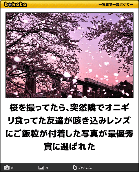 お花見の?流儀