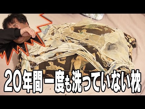 【探偵！ナイトスクープ】結婚したら捨てると約束したのに…20年間洗っていない夫の枕　ナイトinナイト