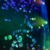 Keep Japan???美しい日本を次世代へ on X