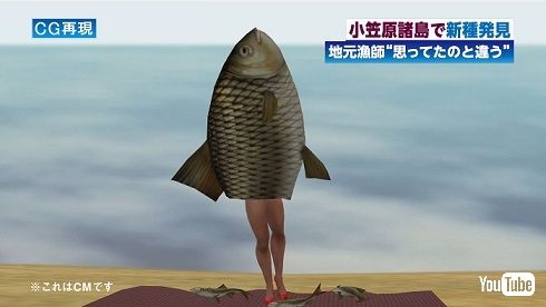 「河童のミイラ」ぜひ見て　SNSで問い合わせ相次ぐ珍品、米沢骨董市で公開・販売