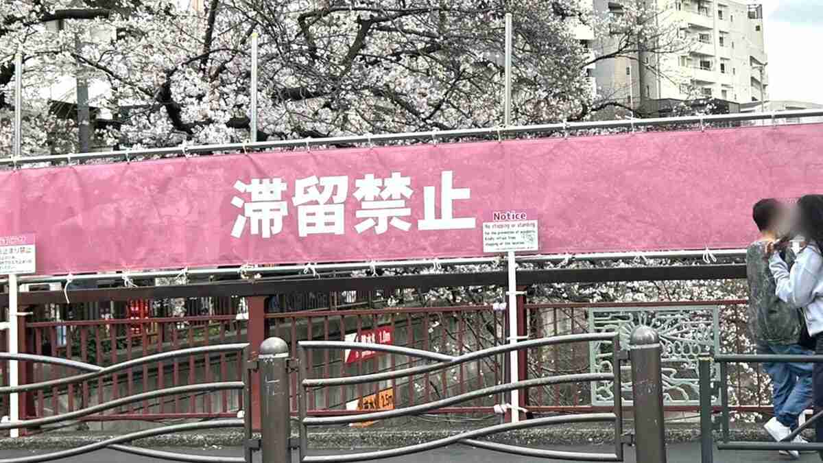 〈桜を遮る横断幕〉「注意の声がうるさい」「嫌な世の中になってしまった」中目黒で花見客が困惑　区に聞いた規制強化の理由 | 集英社オンライン | ニュースを本気で噛み砕け