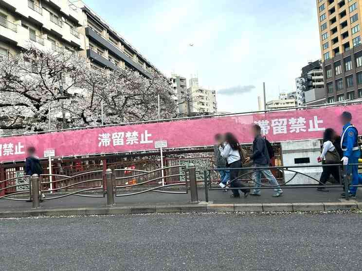 〈桜を遮る横断幕〉「注意の声がうるさい」「嫌な世の中になってしまった」中目黒で花見客が困惑　区に聞いた規制強化の理由