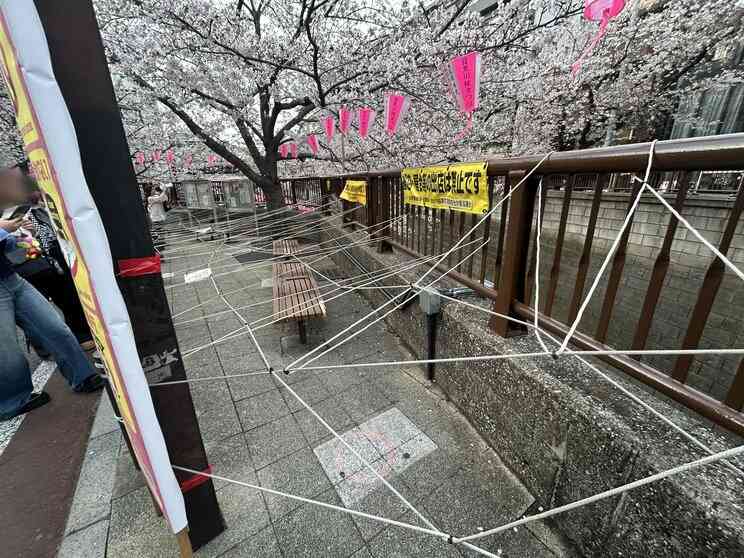 〈桜を遮る横断幕〉「注意の声がうるさい」「嫌な世の中になってしまった」中目黒で花見客が困惑　区に聞いた規制強化の理由