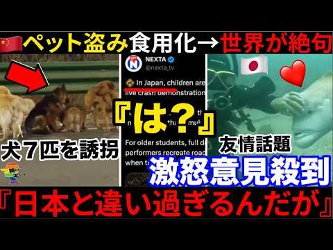 ??『中国は人のペットを食用に…』??日中で比較された”命の扱い”に世界が絶句→海外から中国批判続出へ