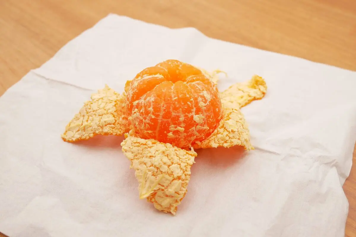 皿ティッシュってそんなにダメですか？