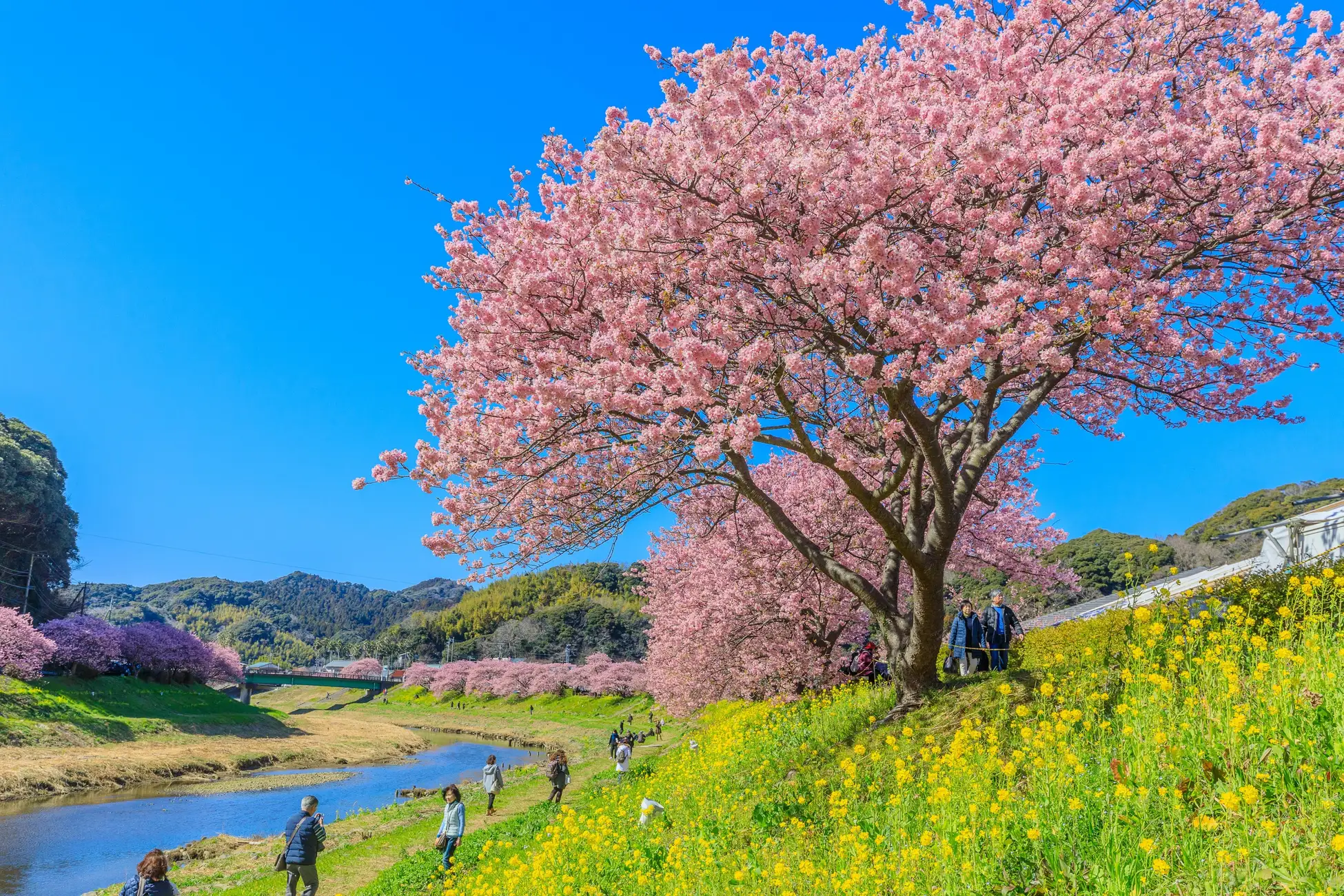 みんなで楽しむ三連休の雑談トピ🌸
