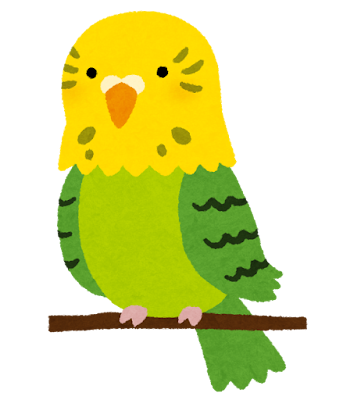 🐦飼ってるインコ（2歳メス）に完全に舐められてる気がする