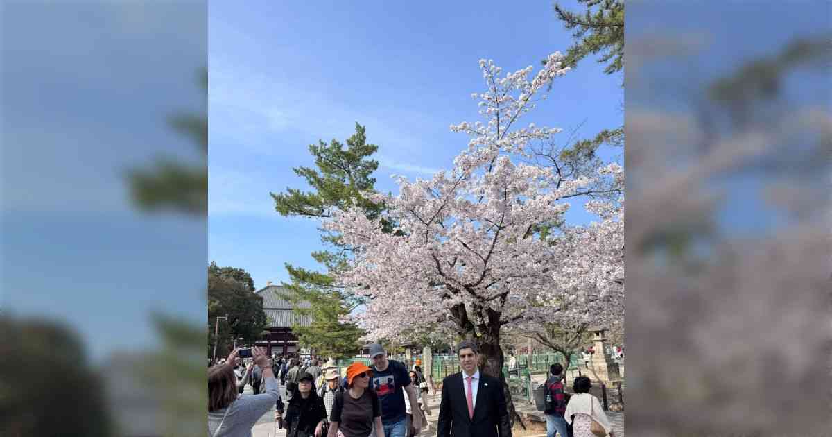 着物姿の女性に「桜が満開の日に桜柄の着物を着るのは『野暮』」と教わり顔が桜色に…→駐日ジョージア大使のポストに「着物選びのマナー」の意見が集まる - Togetter