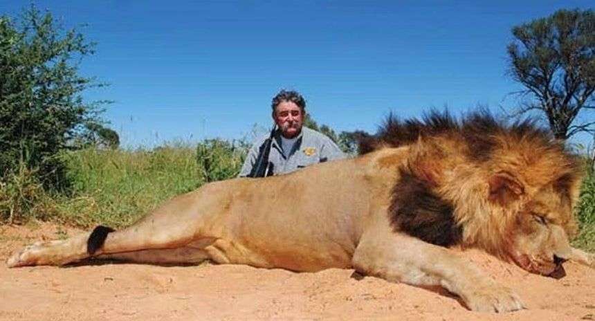 米国の富豪、動物狩猟ツアー中にゾウに襲われ死亡（中央日報日本語版） - Yahoo!ニュース