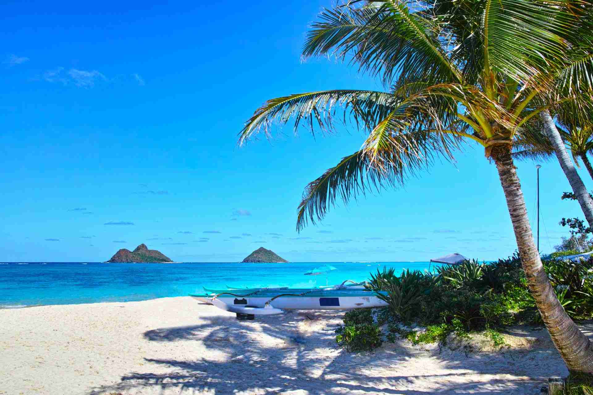 新婚旅行どこへ行きましたか？