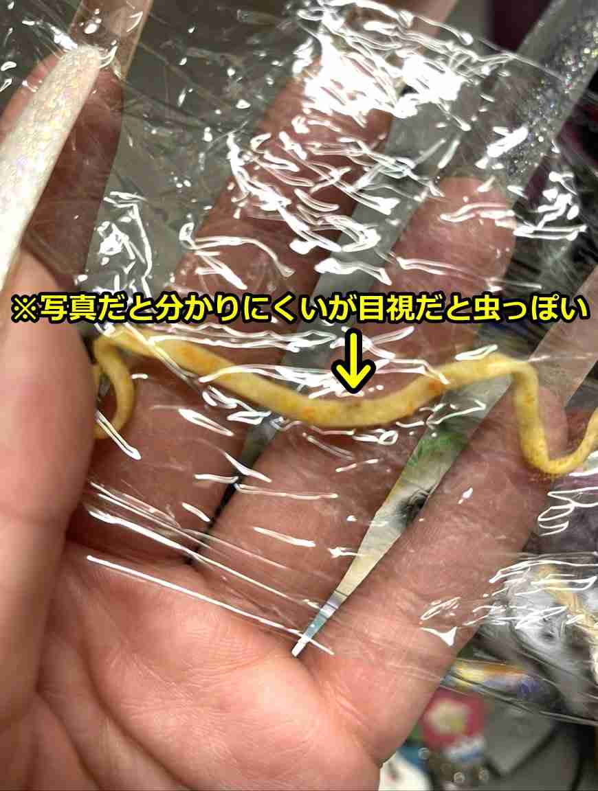 ヒカキンの「辛みそきん」に虫混入の報告　お詫びの品はカップ麺3個　日清の対応に被害者は不満