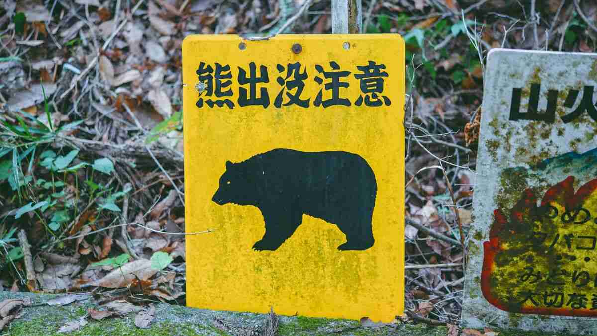 東京はすでにクマに囲まれている…専門家が｢ここまで侵入する可能性がある｣と警鐘を鳴らす