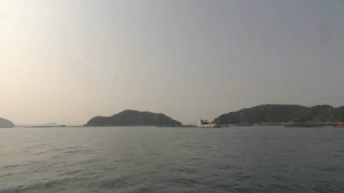 船から海に転落の61歳男性、約1キロを50分泳ぎ島へ自力上陸 ライフジャケット未着用も無事 | 愛媛のニュース - Nスタえひめ｜あいテレビは6チャンネル (1ページ)