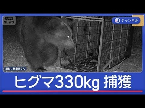 目撃数が“4月最多”観光地もクマ対策続々【スーパーJチャンネル】(2026年4月28日)