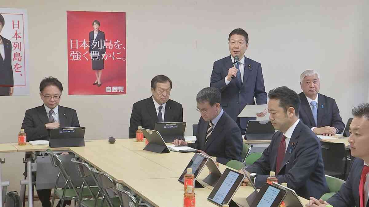 「5類型」を撤廃、武器の輸出を原則可能に　国会には事後通知　自民党が政府案を大筋了承 | TBS NEWS DIG (1ページ)