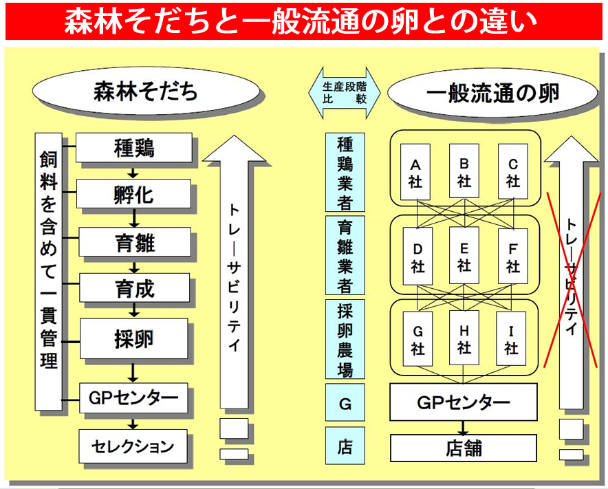 実体験　コスパ最強だったQOLが上がるアイテム