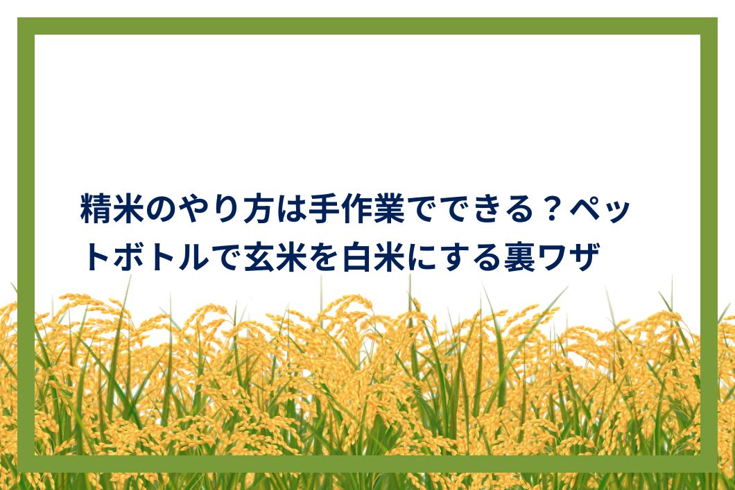 精米のやり方は手作業でできる？ペットボトルで玄米を白米にする裏ワザ | AgriSupport