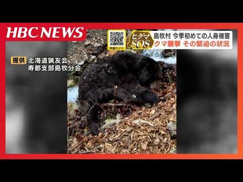 「あんなしぶといクマ初めて」北海道島牧村で手負いのヒグマがハンターを襲撃　同行ハンターが緊迫状況を語る「うなりながら落ちてきた」北海道で2026年初の人身事故