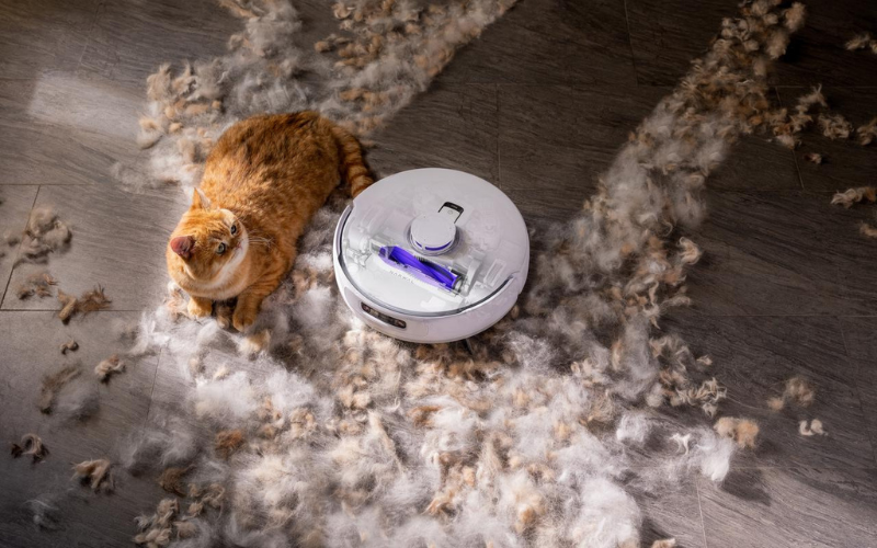 ペットを飼ってる人の床