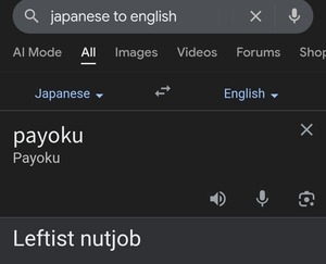 【朗報】英語圏、日本語『パヨク』を固有名詞に指定へ。 「これからはPAYOKUを使おう」 世界中のネット民が“左翼の狂人”を指差して笑う、新時代の幕開け：あじあのネタ帳～あじあにゅーすちゃんねる～
