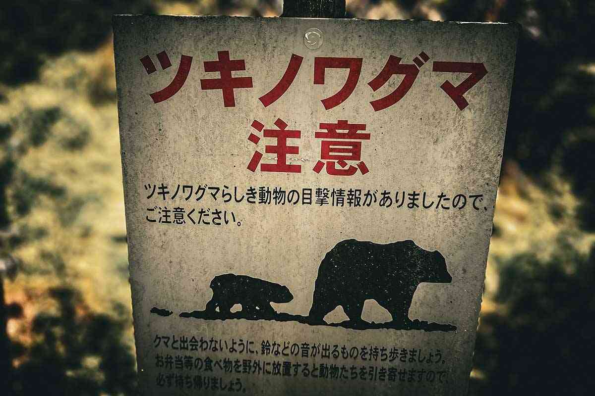 山でクマ発見→「いちいち通報しないで」と議論に…　フンの痕跡だけでも？　ハンターが明かす見解 | ENCOUNT