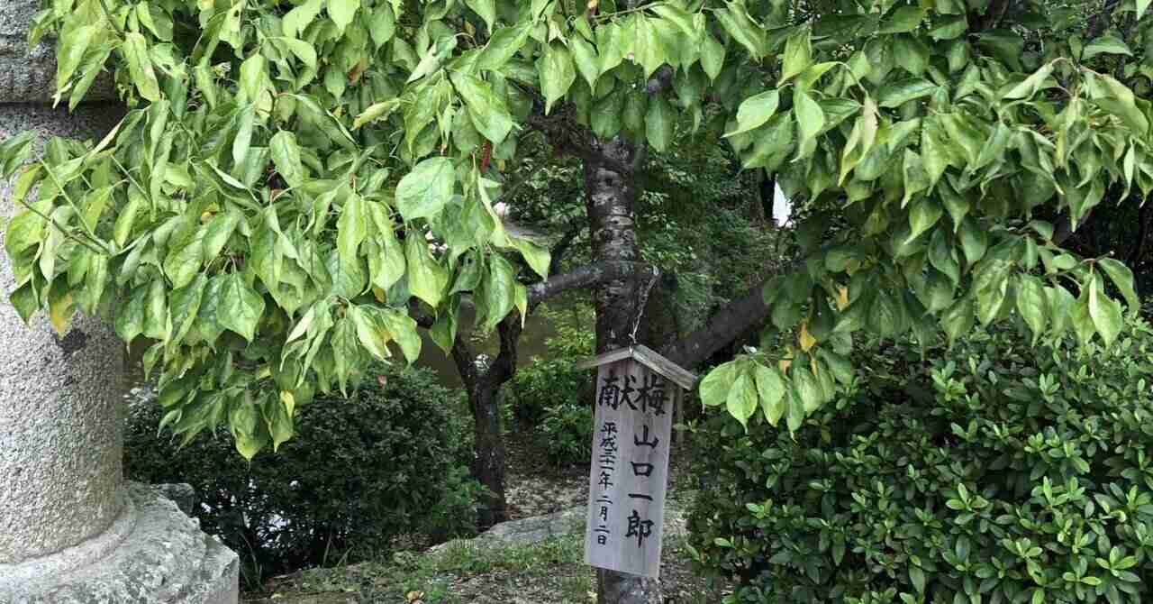 それはそんなに喜んでいいことなのか｜月の人