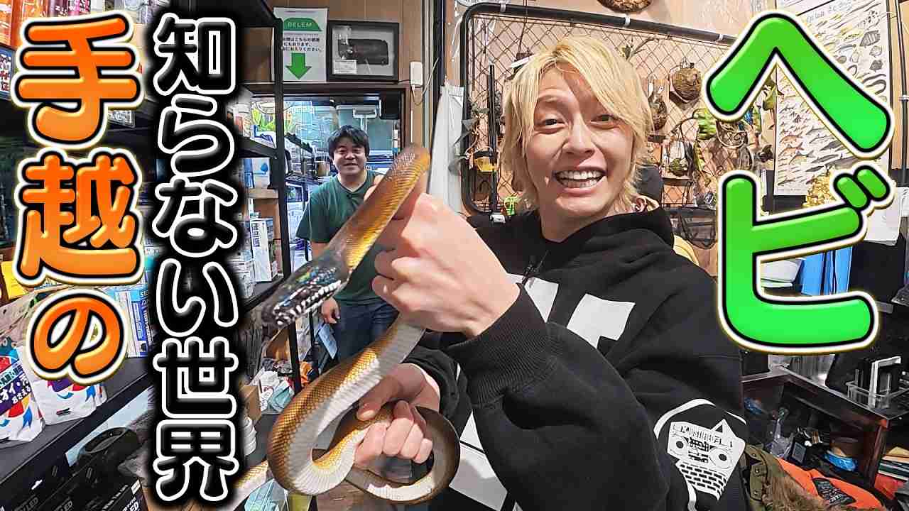 首に巻き付けたヘビにかまれ観光客死亡、ヘビ使いショー観覧中　エジプト