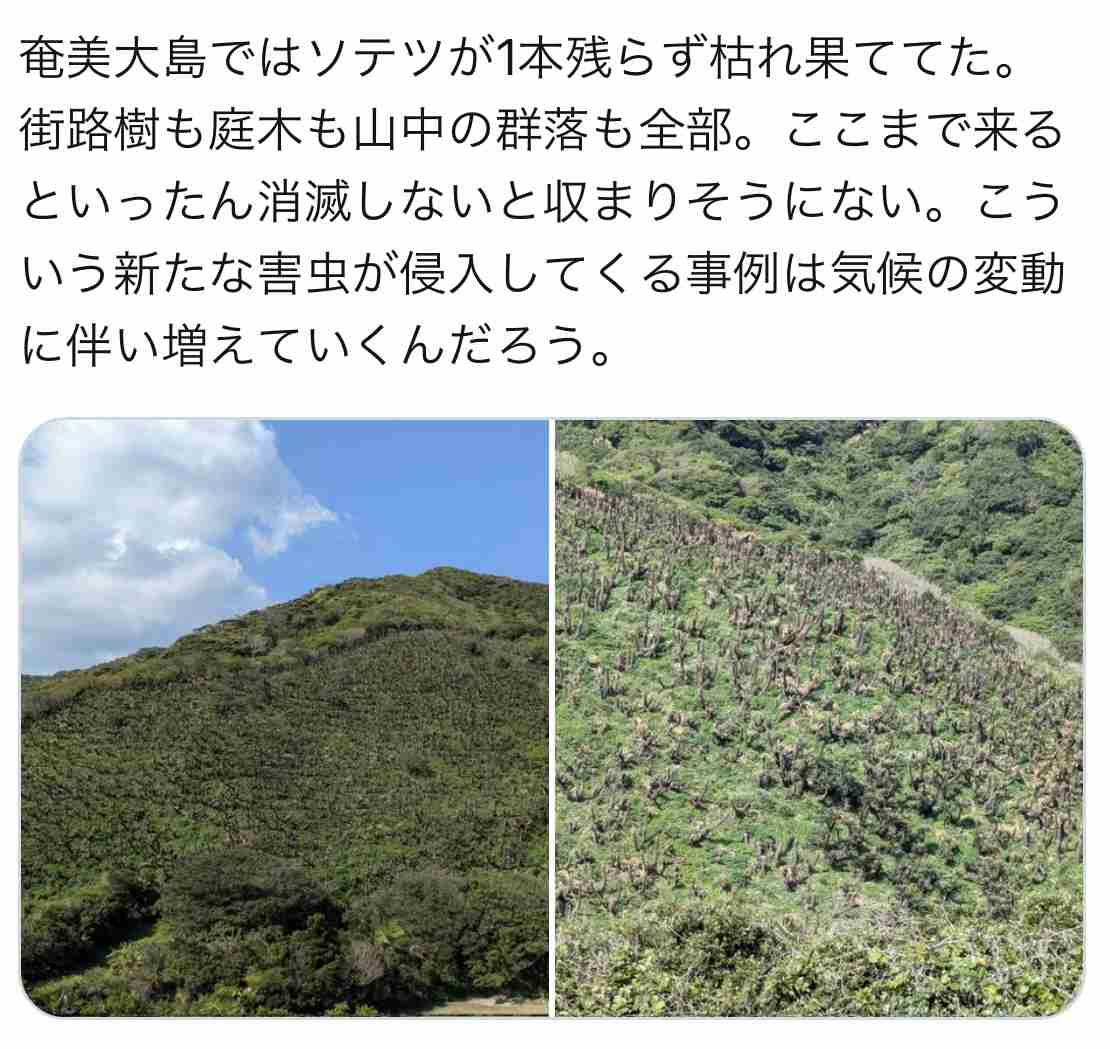 ◯◯って今こんなことになってるの?