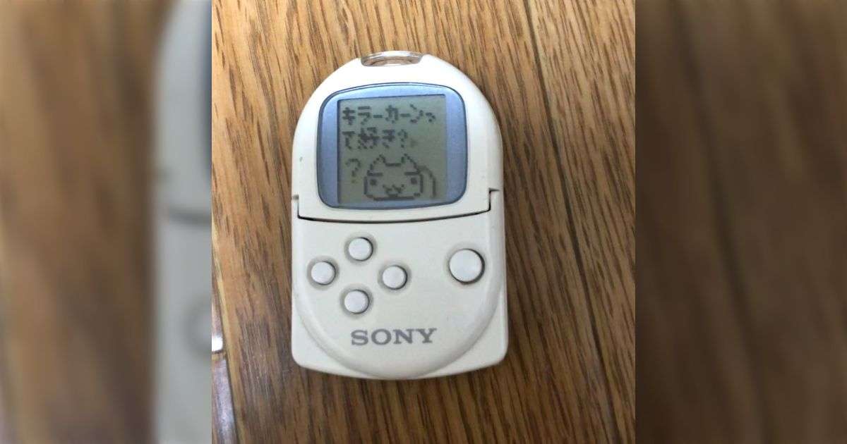 45歳独身狂う説は個人だけの幸福追求の寿命なんだろうと思う話…共感する人もいるが今の時代は解放されていると感じる人多数 - Togetter