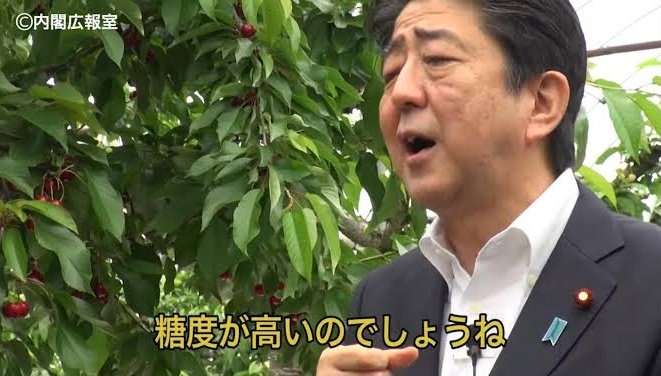 《“黒スニーカー”発見で強まる事件性》京都小6行方不明で安達家の親しい知人が新証言「行方不明になった週にはすでに刑事が来てた」「ご家族みんなが結希くんを愛している」