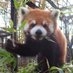 【公式】川崎市夢見ヶ崎動物公園 on X