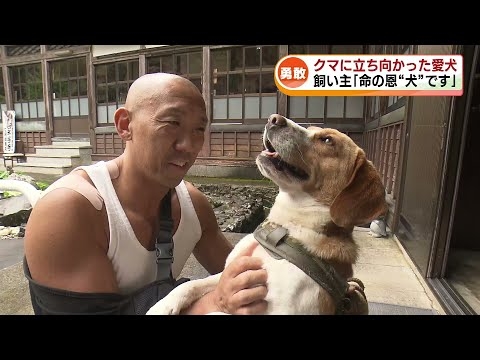【恩“犬”】クマに襲われた住職を助けたのは愛犬の“チコ”《新潟》