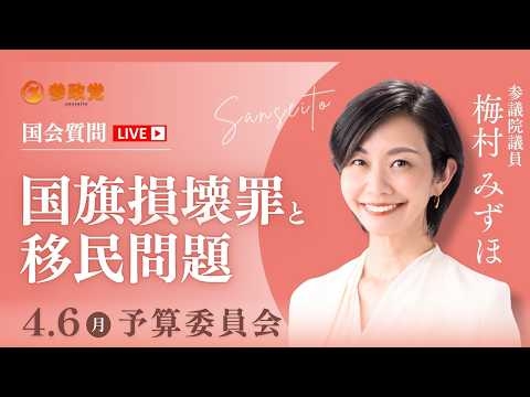 【国会中継】「国旗損壊罪と移民問題」参議院議員 梅村みずほ  国会質疑 令和8年4月6日 参政党