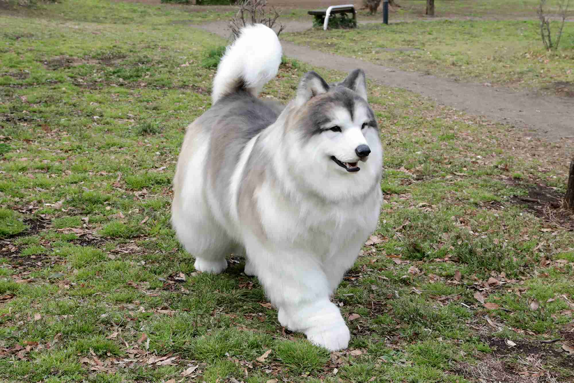 「人間」であることが嫌な人