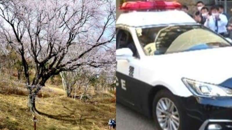 〈花見の名所で女性にガブッ〉「歯がなかったので大きなケガはなく…」かみつき男（89）がパトカー連行中に突然死亡「ツバも吐きつけてきた」…司法解剖の結果は？ | 集英社オンライン | ニュースを本気で噛み砕け