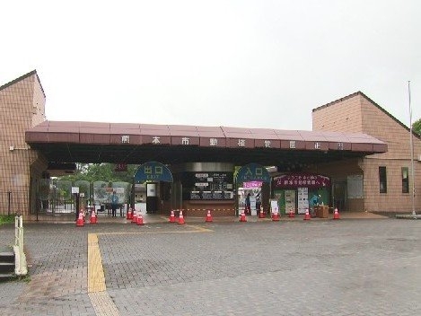 【速報】熊本市動植物園で飼育員がサイに襲われる