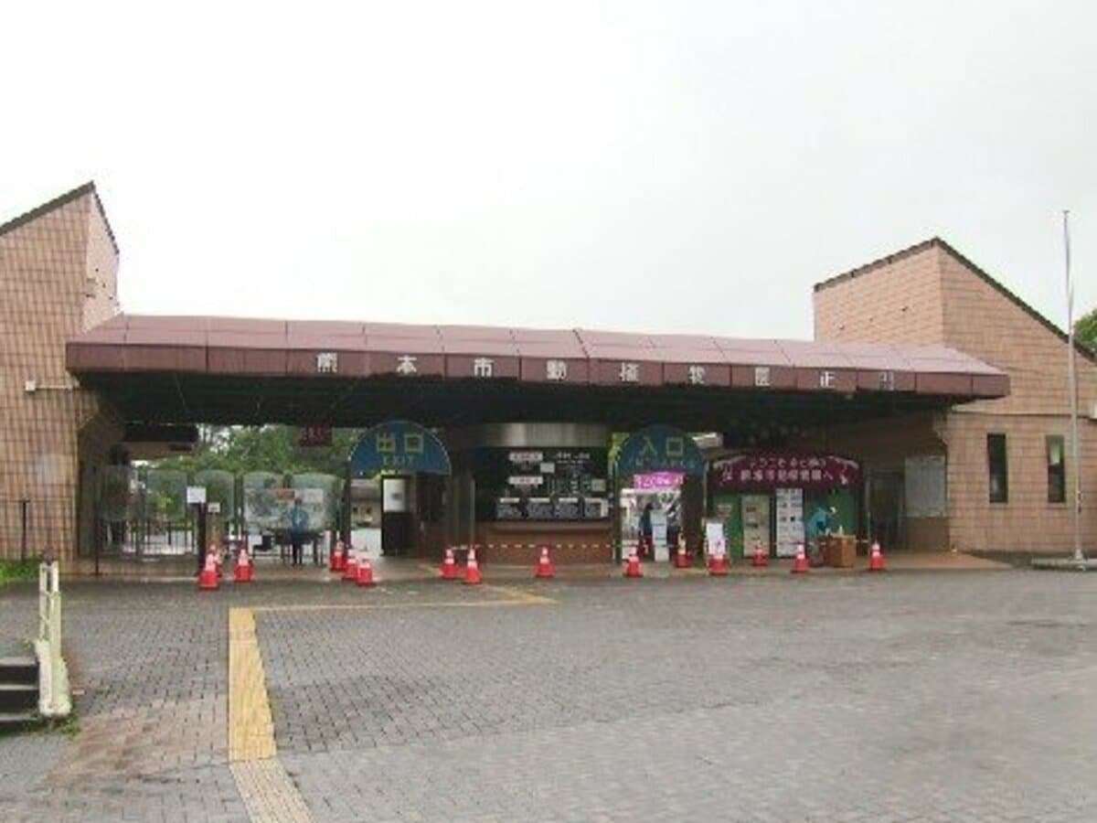 【速報】熊本市動植物園で飼育員がサイに襲われる | TBS NEWS DIG (1ページ)