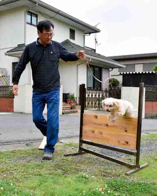 笑ってる犬の画像を見て幸せを感じようよ🐕️