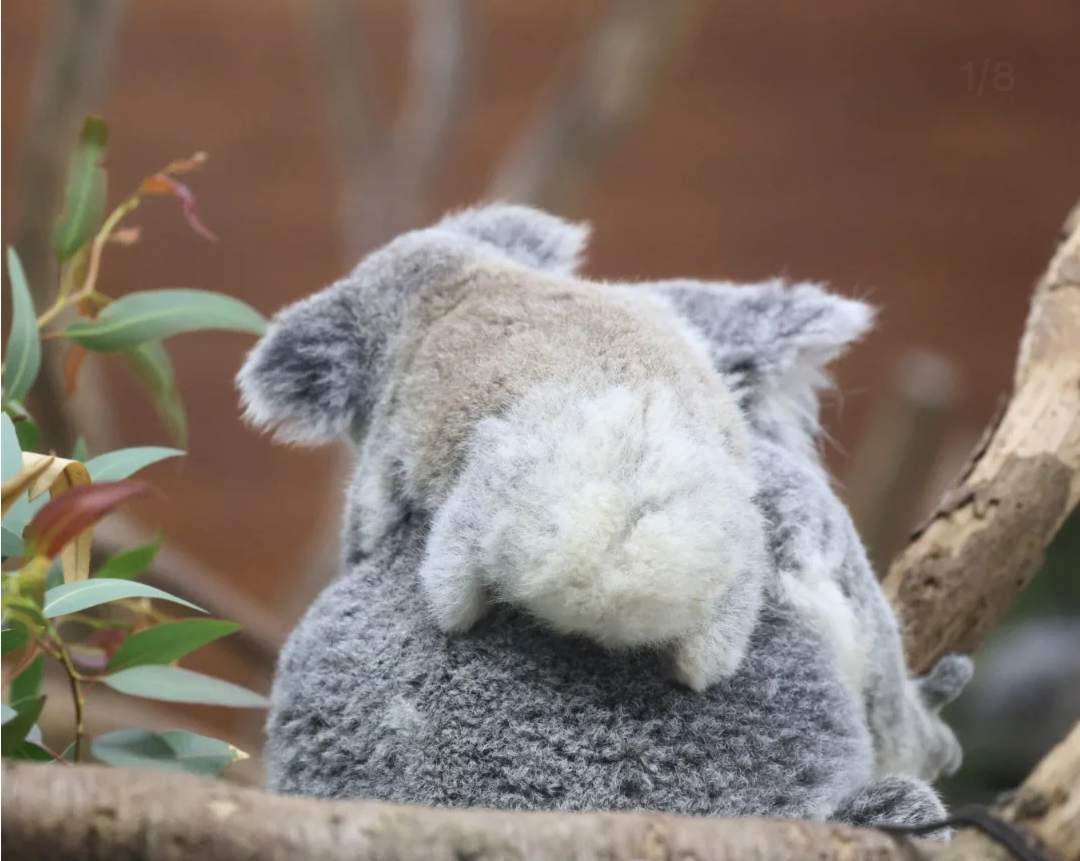がるちゃん動物園