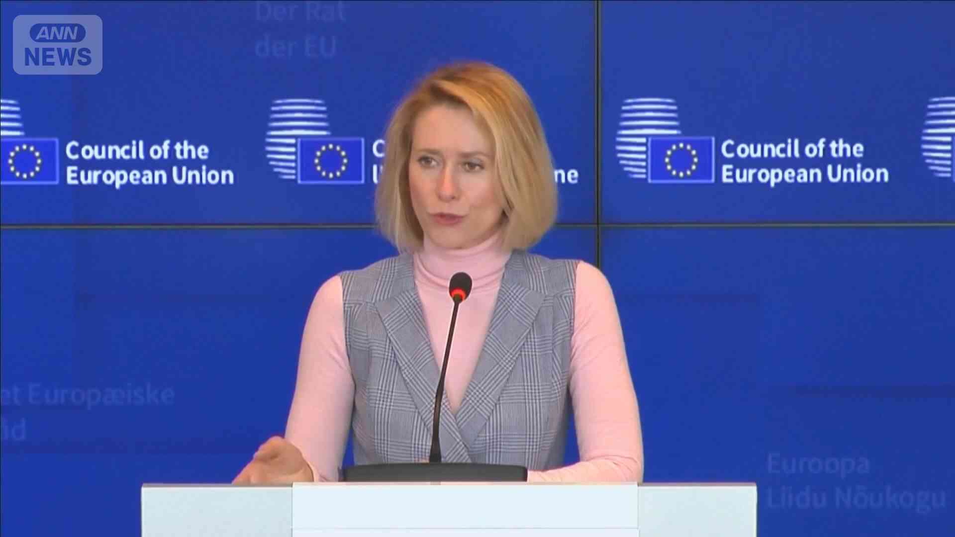 EU外相会合イランへの制裁拡大で合意　ホルムズ海峡封鎖に関与の個人も対象（テレビ朝日系（ANN）） - Yahoo!ニュース