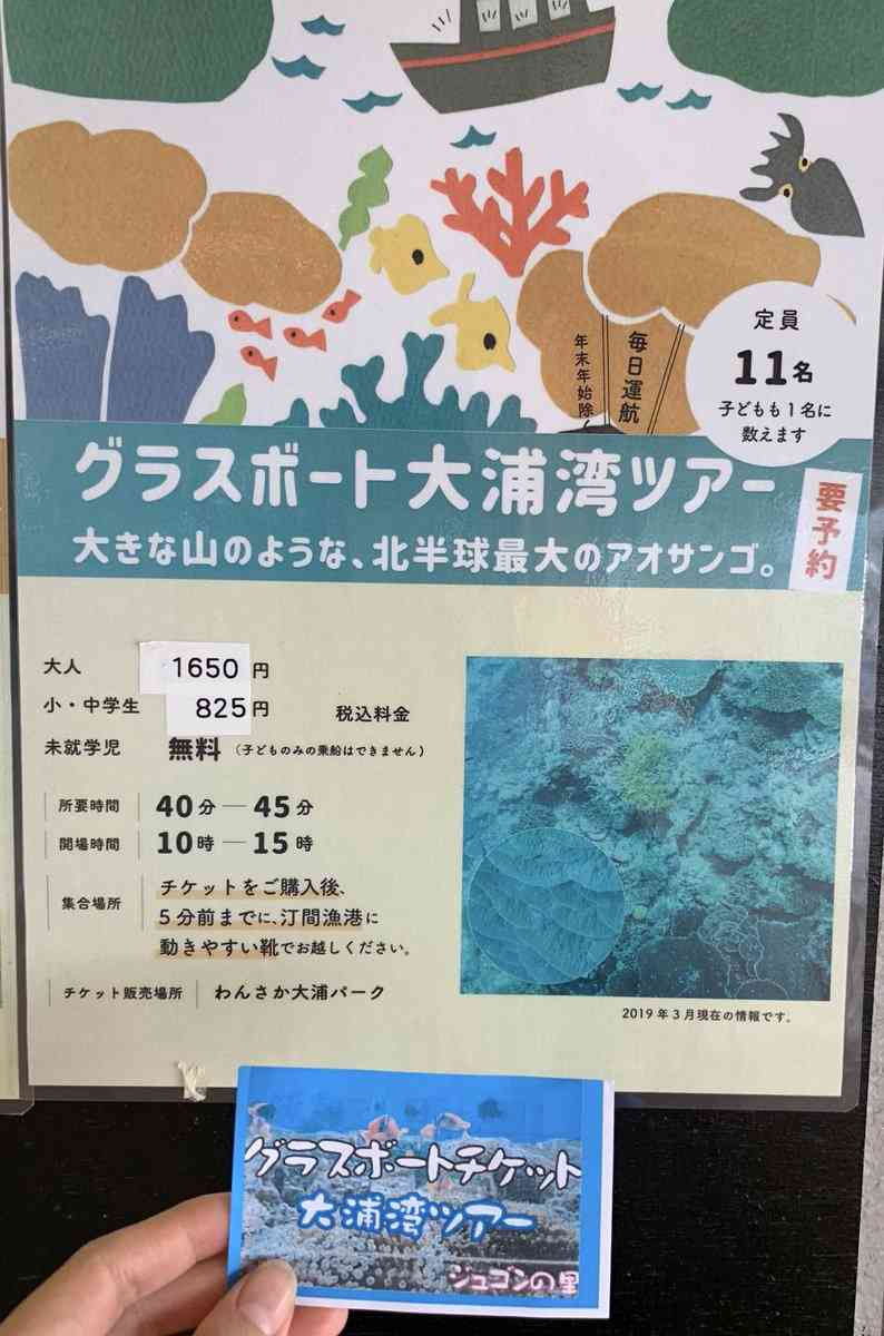 同志社国際高校、過去の研修旅行しおりに抗議活動参加の「お願い」文章　京都府が調査へ＜辺野古転覆事故＞