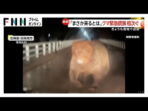 クマが車に突進…うなり声上げ執拗に追いかけ　木の上・納屋・寺の敷地内に“居座り”も　各地で「緊急銃猟」相次ぐ