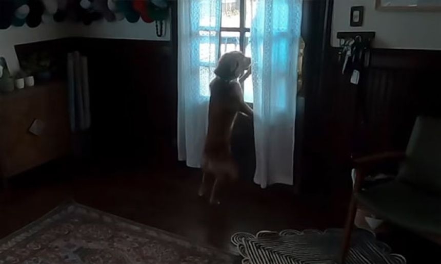 誰よりも月周回から帰還した宇宙飛行士の帰りを待っていたのは愛犬だった！
