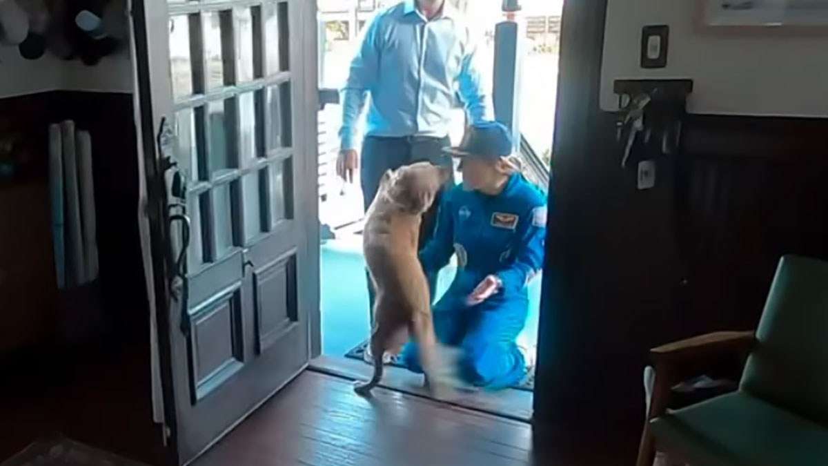 誰よりも月周回から帰還した宇宙飛行士の帰りを待っていたのは愛犬だった！ | カラパイア