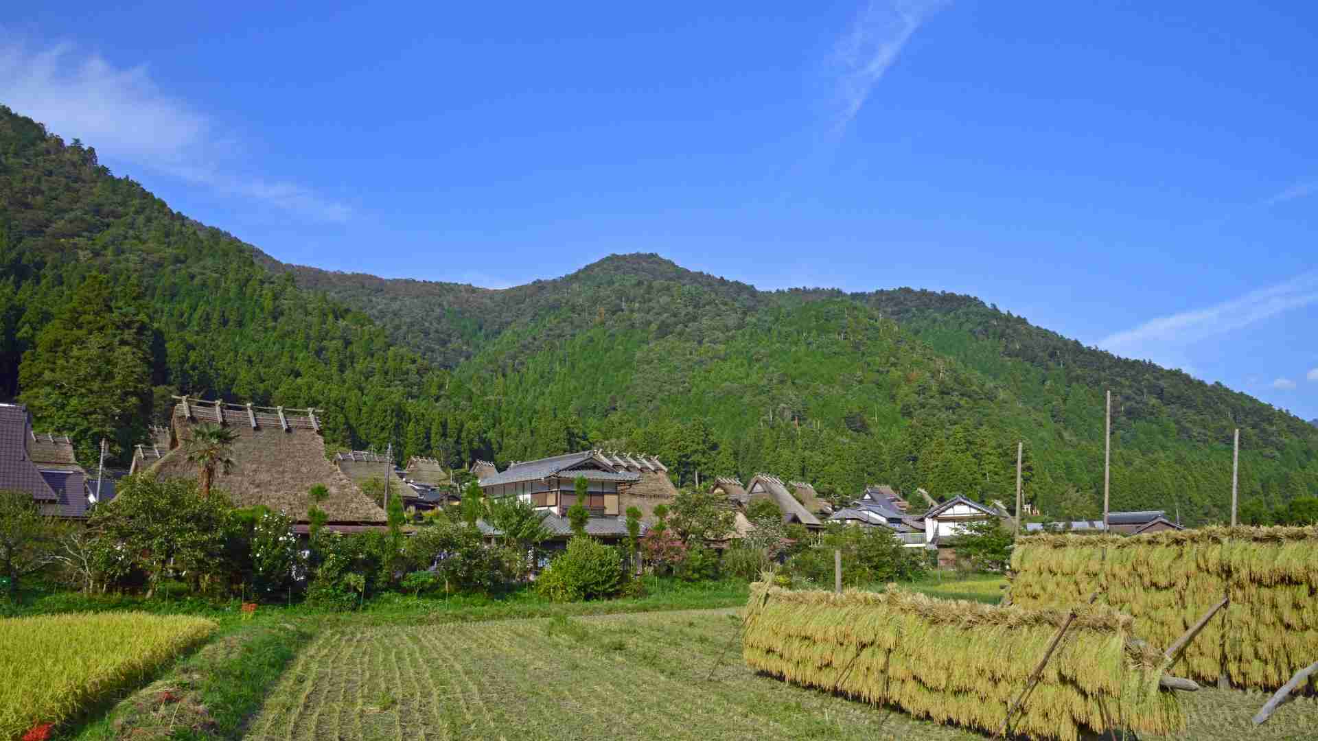 京都府南丹市の男児不明ーーその推理、誰かを傷つけていませんか #エキスパートトピ（碓井真史） - エキスパート - Yahoo!ニュース