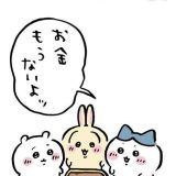 >>2国民の声をブロックするような人が総理大臣の候補になってたって冷静に考えたら... | ガールズちゃんねる - Girls Channel -