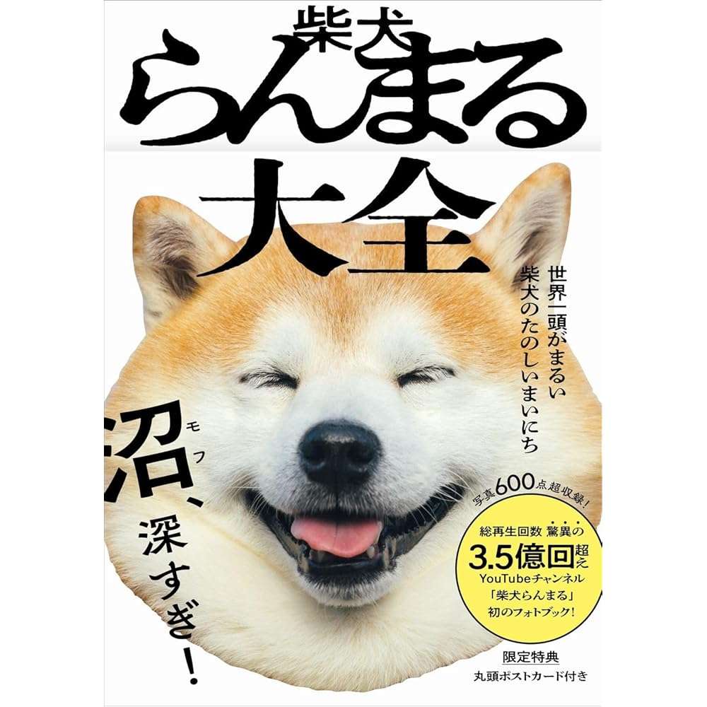 笑ってる犬の画像を見て幸せを感じようよ🐕️